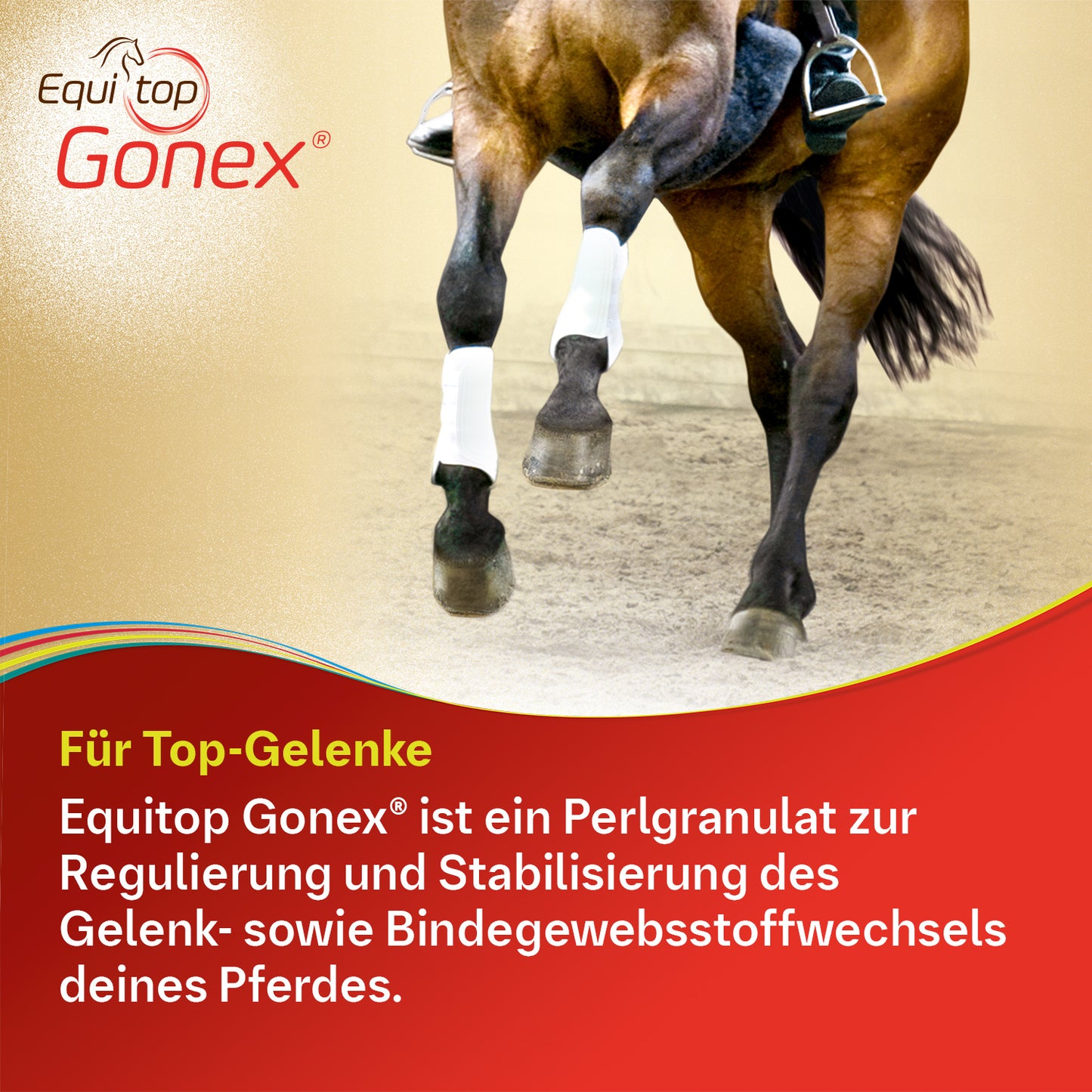 Equitop Gonex® für Pferde