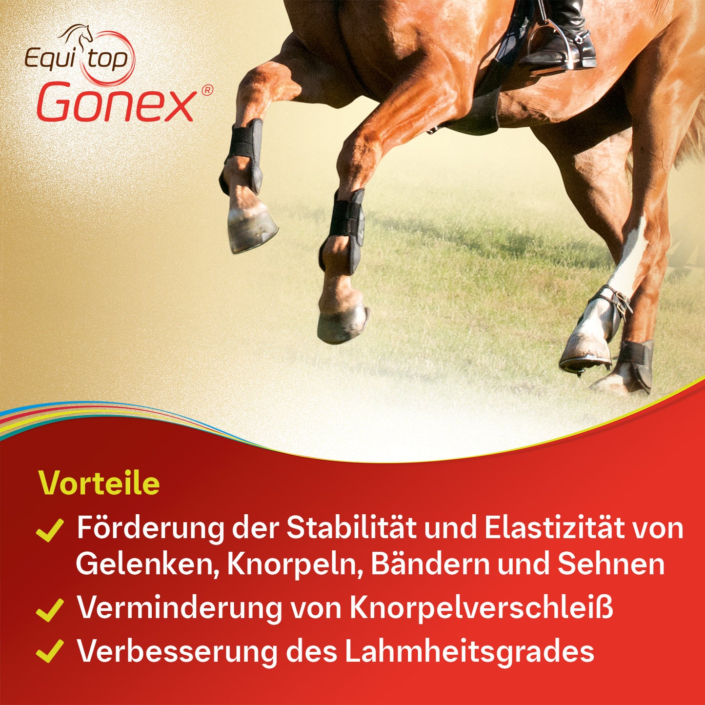 Equitop Gonex® für Pferde