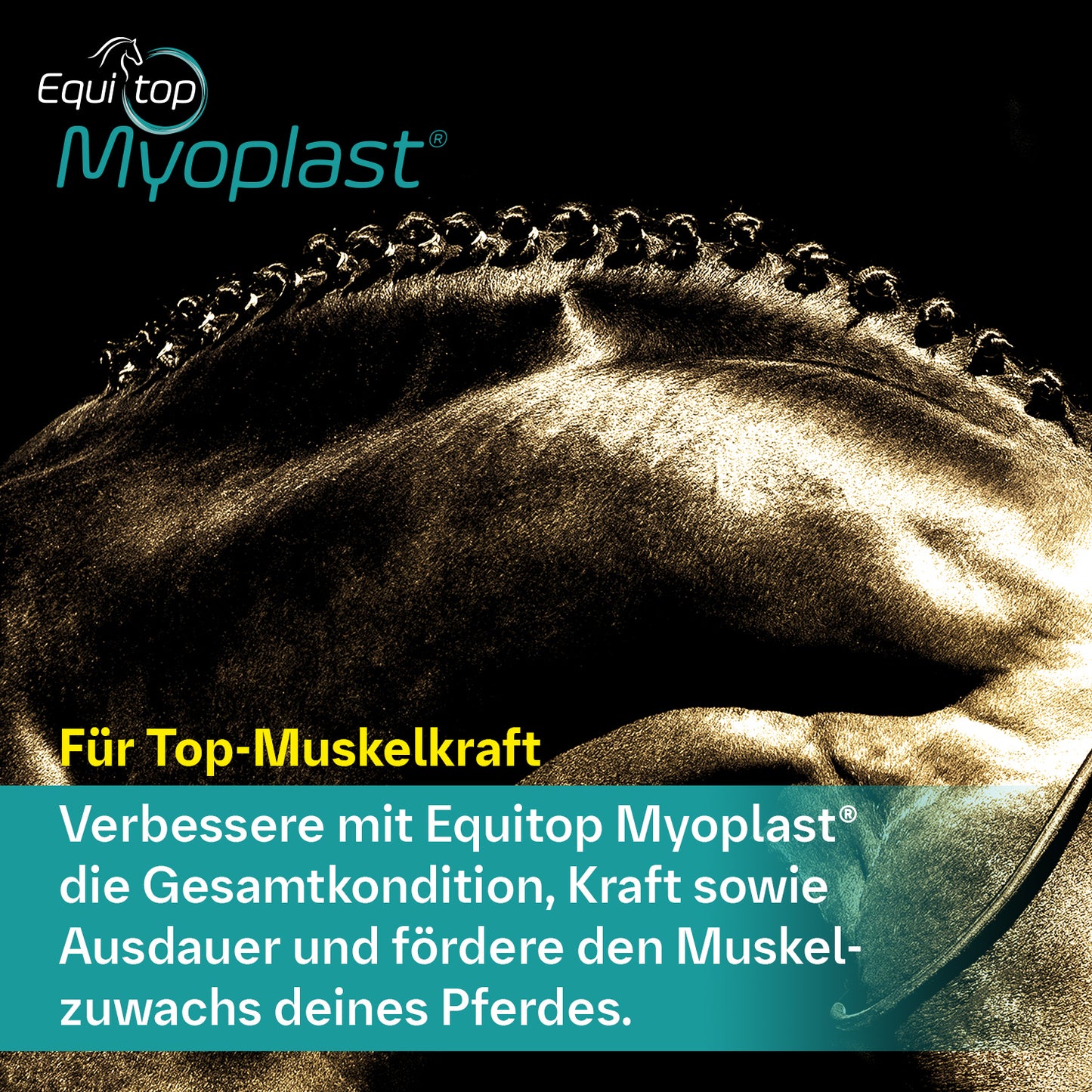 Equitop Myoplast® für Pferde