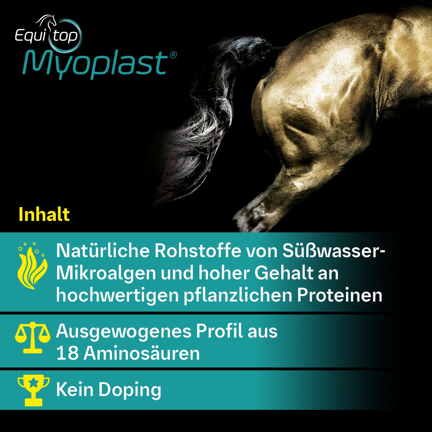 Equitop Myoplast® für Pferde