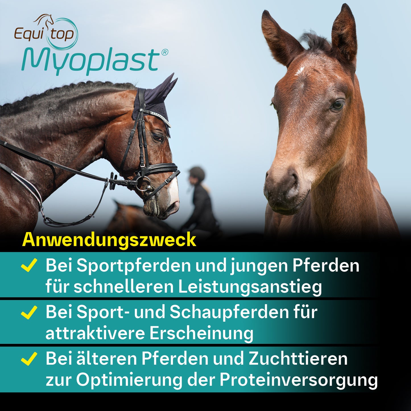 Equitop Myoplast® für Pferde