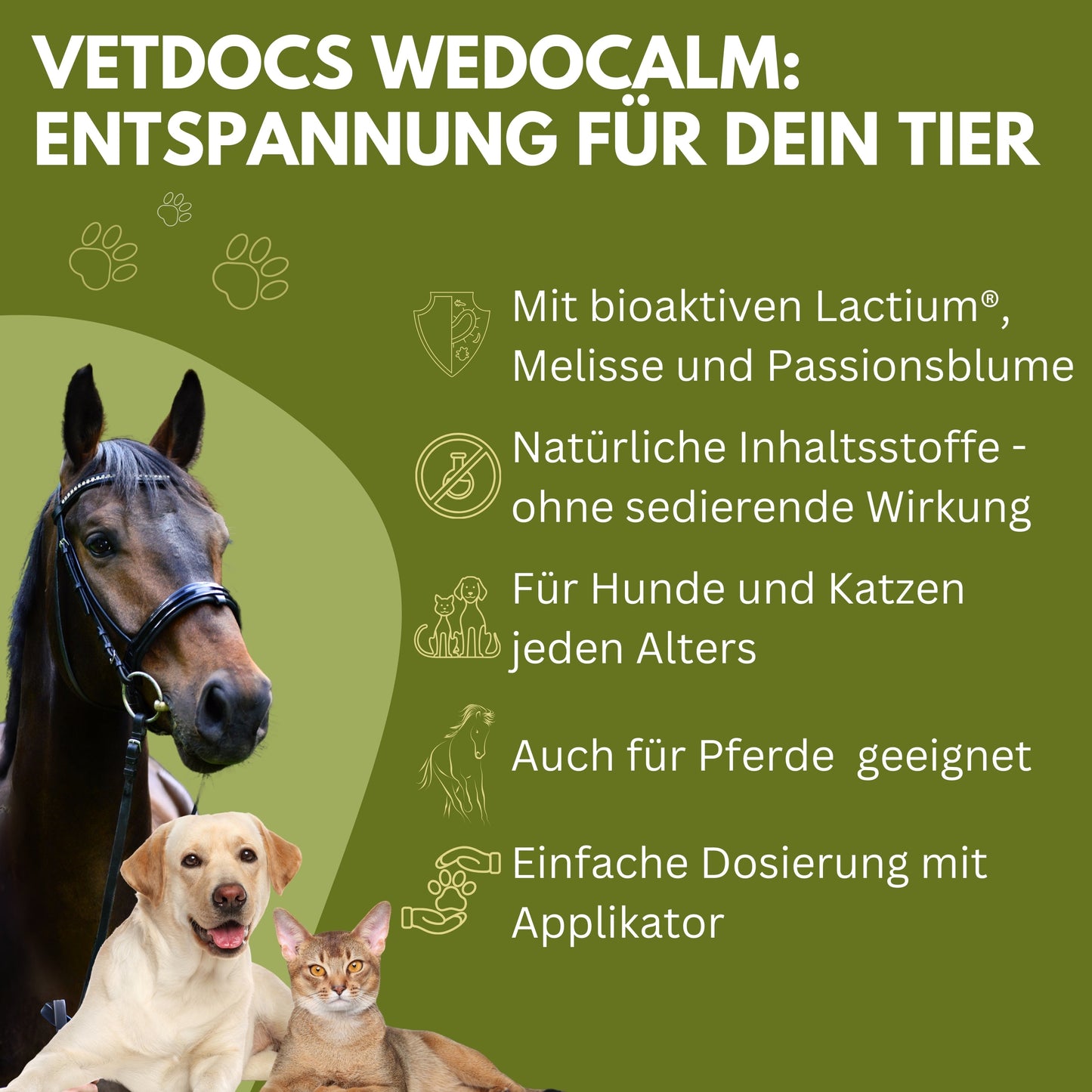 vetDocs® Wedocalm Entspannungspaste