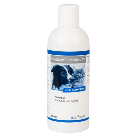 Alfavet HexoCare Shampoo 1%