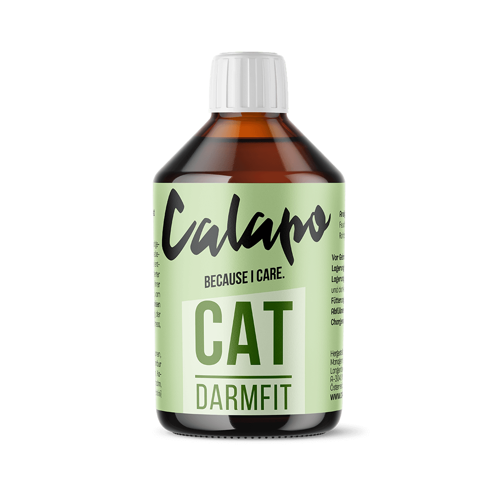 Calapo Cat Darmfit für Katzen