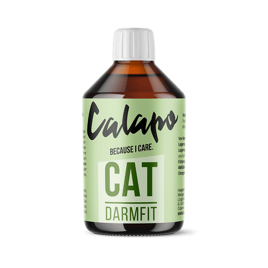 Calapo Cat Darmfit für Katzen