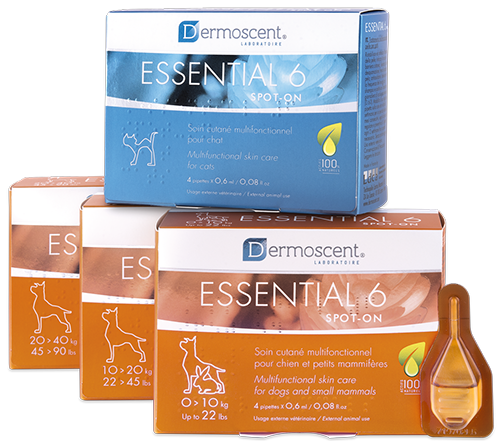 Dermoscent Essential 6® spot-on Katze