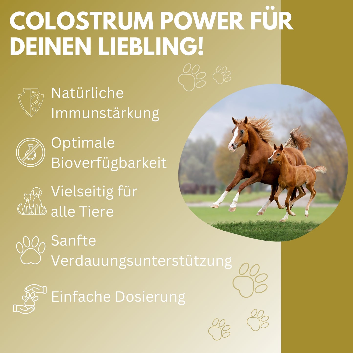 vetDocs® Wedomun Colostrumpaste