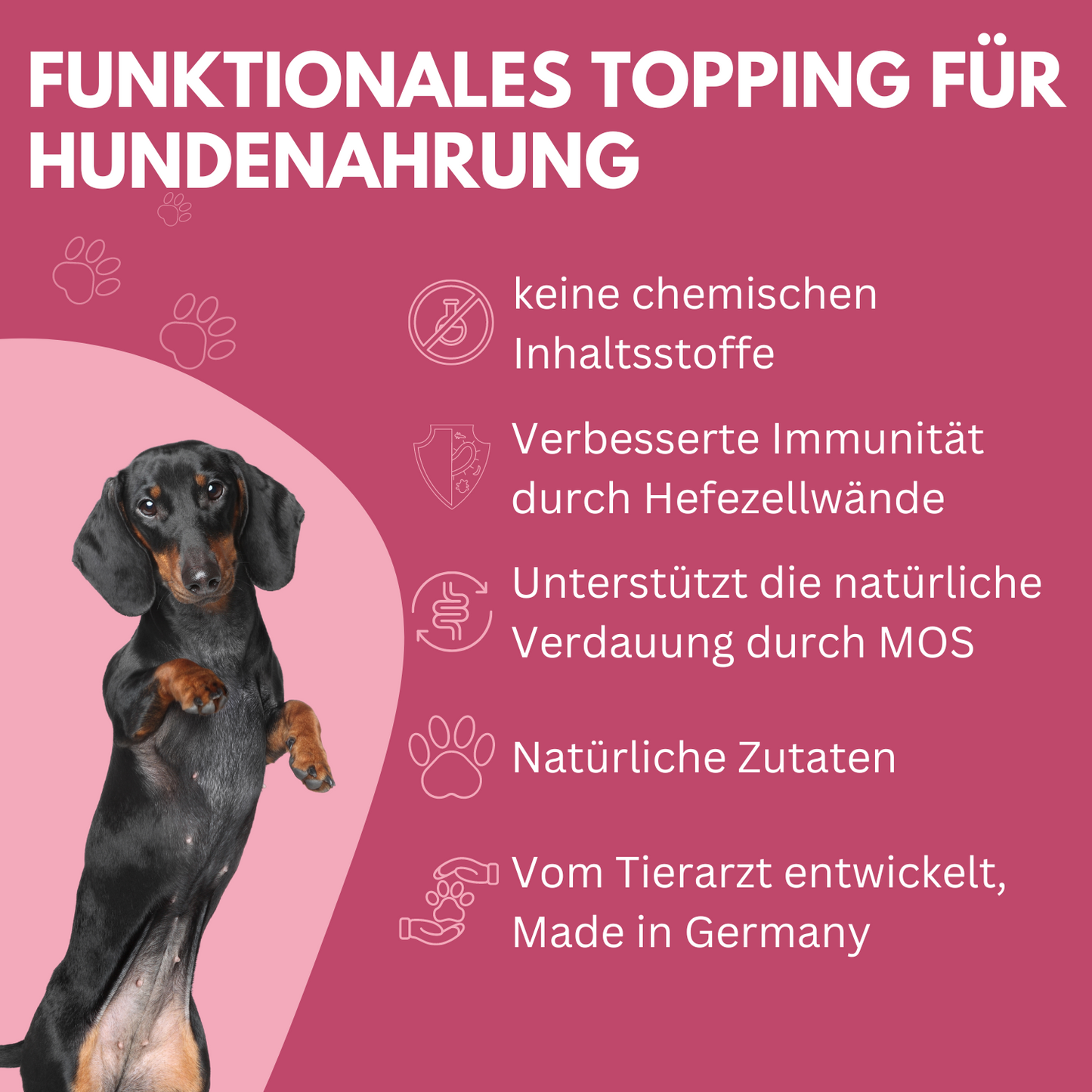 WEDEdog Hundefutter Topping Rote Vielfalt 150g