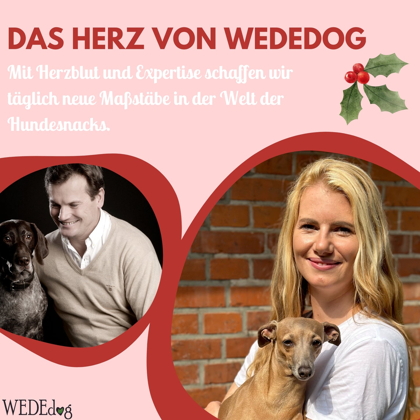 WEDEdog Weihnachtswürfel für Hunde 100g