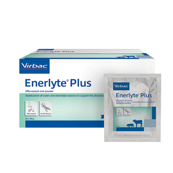 Virbac Enerlyte® Plus